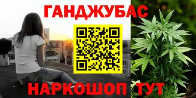 крисы Краснознаменск