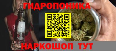 крисы Краснознаменск