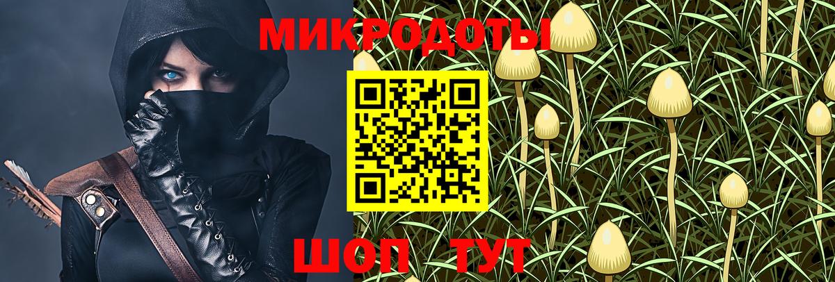 Галлюциногенные грибы Psilocybe  Псилоцибиновые грибы Psilocybe  Донецк  Вход с VPN 