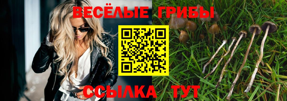 Галлюциногенные грибы Psilocybe Донецк